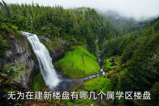 无为在建新楼盘有哪几个属学区楼盘
