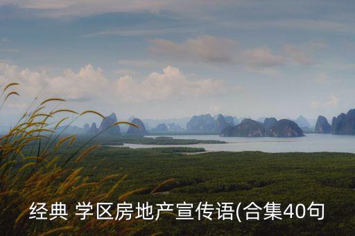 经典 学区房地产宣传语(合集40句