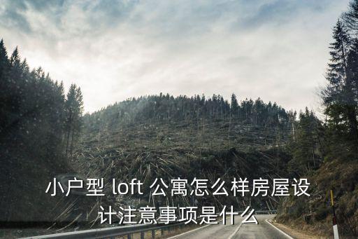 小户型 loft 公寓怎么样房屋设计注意事项是什么