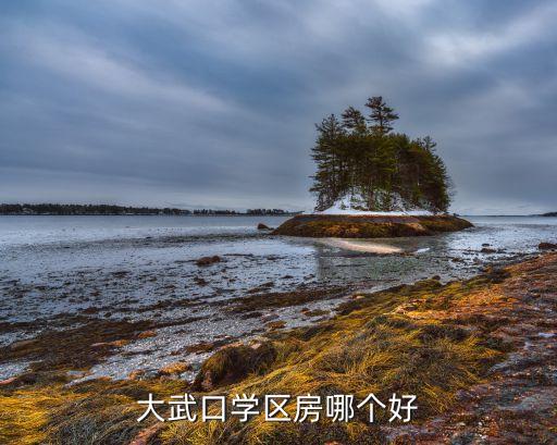大武口学区房哪个好