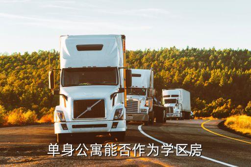 公寓房的学区政策咨询什么，单身公寓能否作为学区房