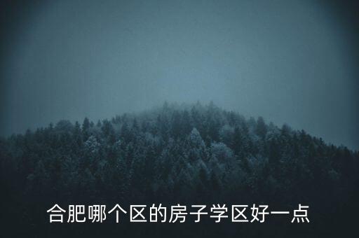 合肥长丰区哪个学区房好，合肥哪个区的房子学区好一点