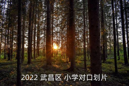 武昌的小学学区房都有哪些,武昌中山路小学学区房划分
