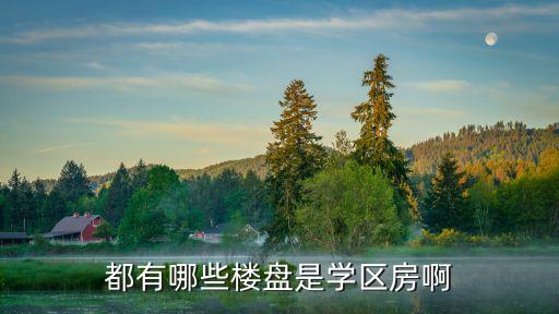 都有哪些楼盘是学区房啊