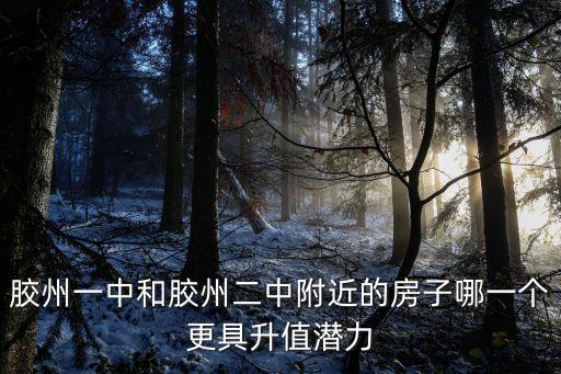 胶州一中和胶州二中附近的房子哪一个更具升值潜力