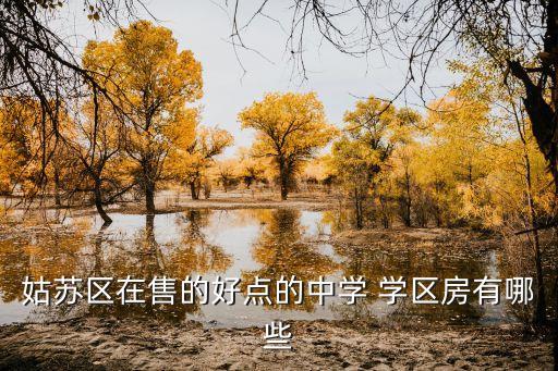 姑苏区在售的好点的中学 学区房有哪些