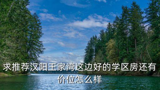 求推荐汉阳王家湾这边好的学区房还有价位怎么样