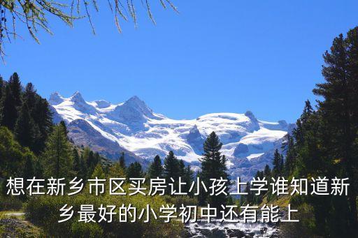 想在新乡市区买房让小孩上学谁知道新乡最好的小学初中还有能上