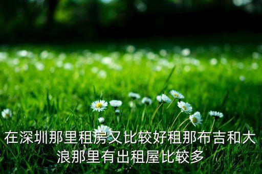 在深圳那里租房又比较好租那布吉和大浪那里有出租屋比较多