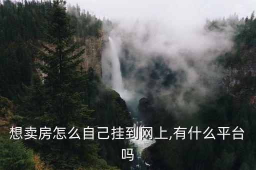 想卖房怎么自己挂到网上,有什么平台吗