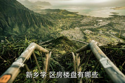 新乡学 区房楼盘有哪些