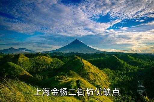 上海金杨哪个学区房好，上海有哪些比较好的学区房推荐