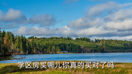 学区房买哪儿你真的买对了吗
