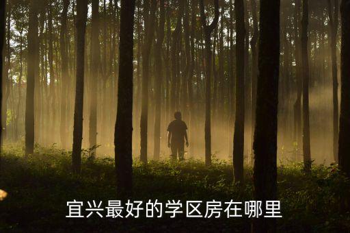 宜兴最好的学区房在哪里