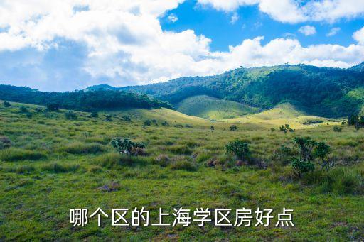 哪个区的上海学区房好点