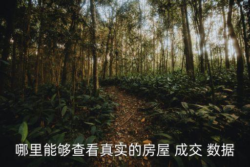 哪里能够查看真实的房屋 成交 数据