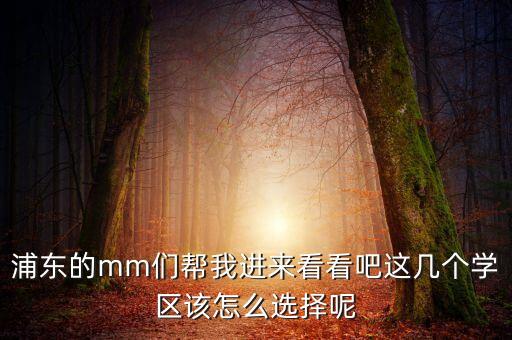 浦东的mm们帮我进来看看吧这几个学区该怎么选择呢