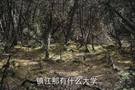 镇江那有什么大学