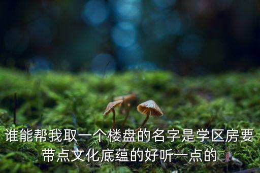 谁能帮我取一个楼盘的名字是学区房要带点文化底蕴的好听一点的