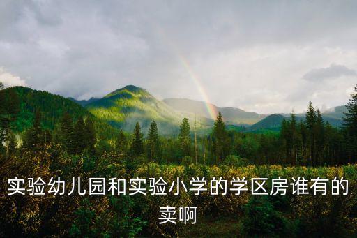 实验幼儿园和实验小学的学区房谁有的卖啊