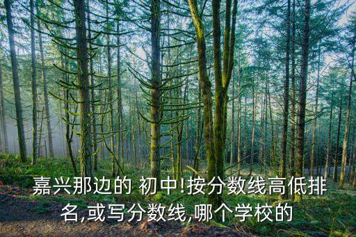嘉兴一中初中学区房有哪些