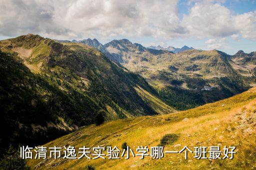 临清市逸夫实验小学哪一个班最好