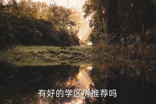 有好的学区房推荐吗