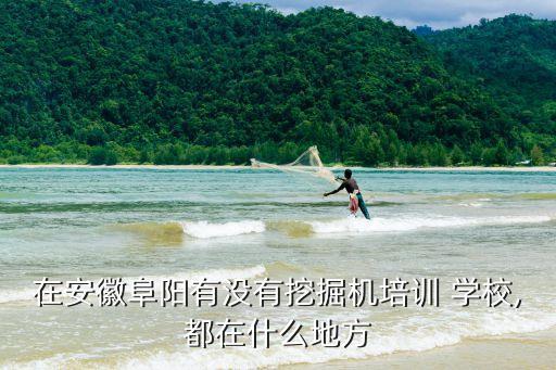 颍西镇学区房是哪个学校的