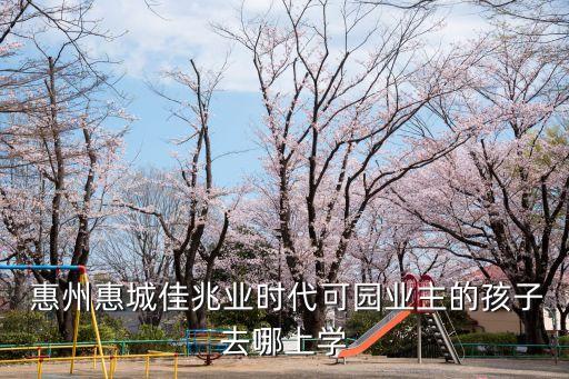  惠州惠城佳兆业时代可园业主的孩子去哪上学