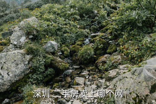 深圳 二手房卖上哪个网