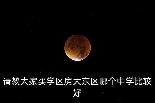 请教大家买学区房大东区哪个中学比较好