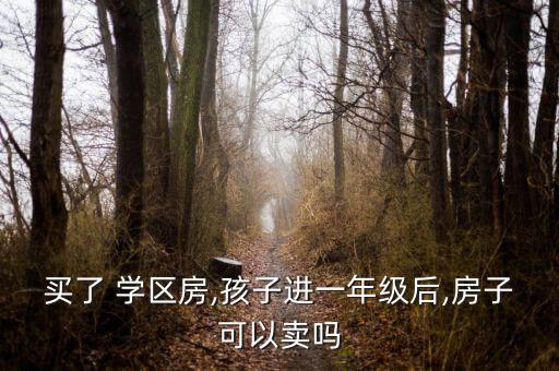 买了 学区房,孩子进一年级后,房子可以卖吗