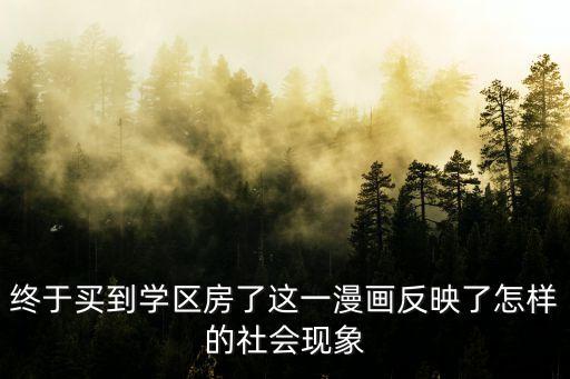 学区房90平米阳台什么梗，终于买到学区房了这一漫画反映了怎样的社会现象