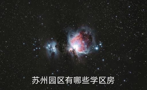 苏州园区有哪些学区房
