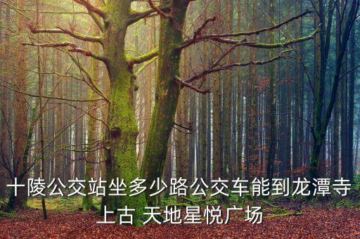 十陵公交站坐多少路公交车能到龙潭寺上古 天地星悦广场