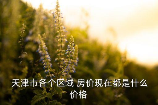  天津市各个区域 房价现在都是什么价格