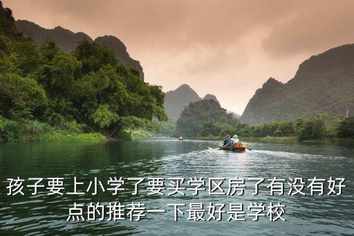 孩子要上小学了要买学区房了有没有好点的推荐一下最好是学校