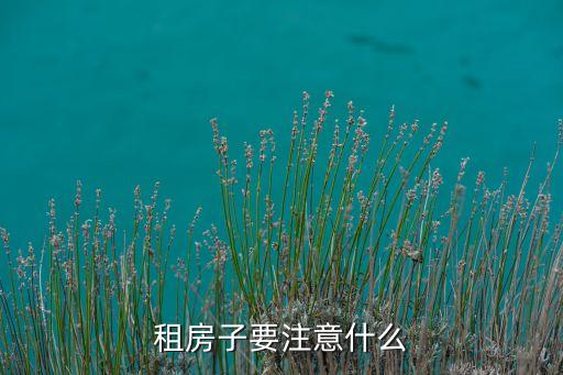 租房子要注意什么