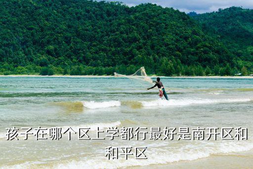 天津和平学区房哪个学校好，明年我的孩子上小学去和平区的哪所学校好