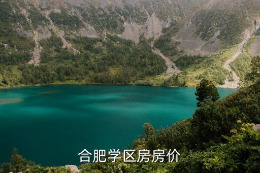 合肥学区房房价