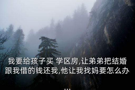 我要给孩子买 学区房,让弟弟把结婚跟我借的钱还我,他让我找妈要怎么办...