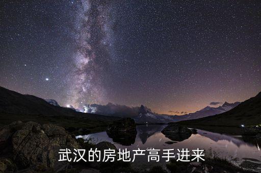  武汉的房地产高手进来