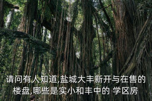 请问有人知道,盐城大丰新开与在售的楼盘,哪些是实小和丰中的 学区房