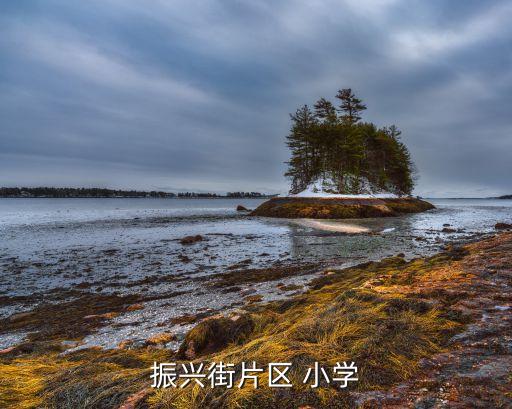 振兴街片区 小学