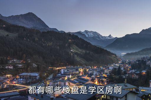 都有哪些楼盘是学区房啊