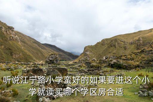听说江宁路小学蛮好的如果要进这个小学就读买哪个学区房合适