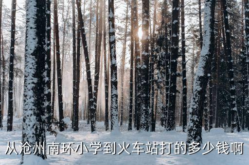 从沧州南环小学到火车站打的多少钱啊