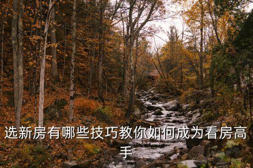 选新房有哪些技巧教你如何成为看房高手