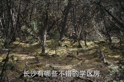 长沙有哪些不错的学区房