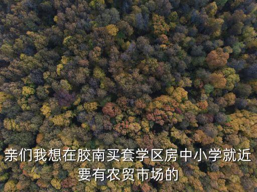 亲们我想在胶南买套学区房中小学就近要有农贸市场的